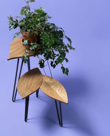 Ruwdesign-Bladtafel-Bijzettafel-Hoya-Carnosa-Set