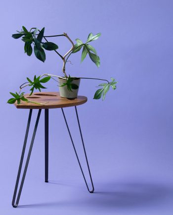 Ruwdesign-Monstera-Adasonii-High-End-Table-Oak-Wood